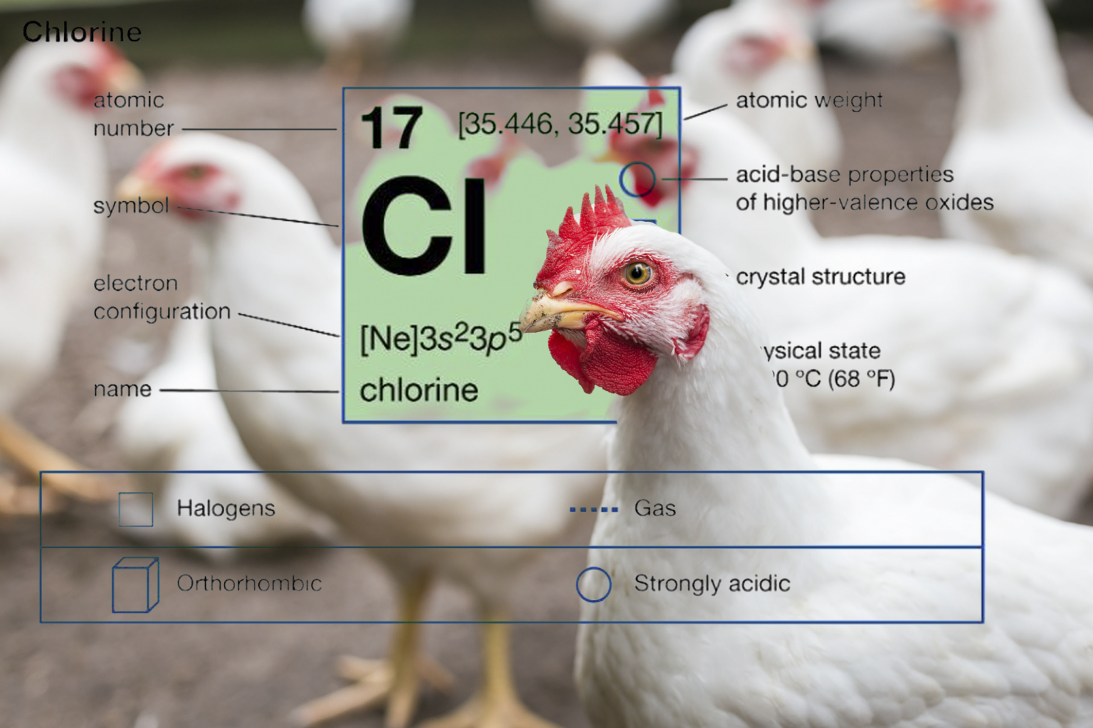 Chlorine Free Chicken Cartapo Creek Meat & Livestock